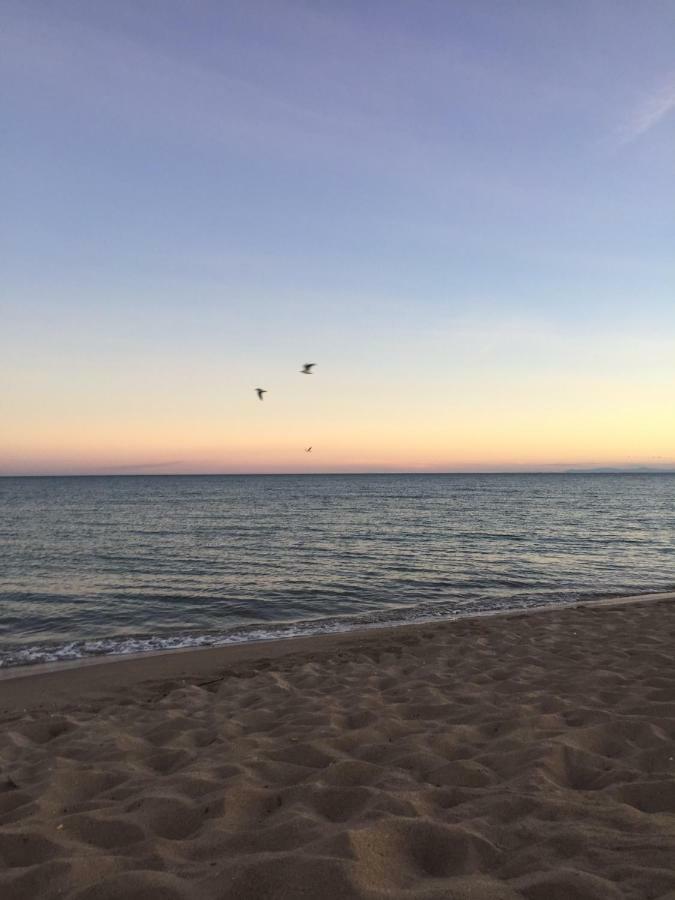 Jm Vacances Sérignan Exteriör bild